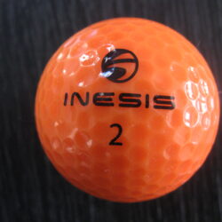 Inesis orange