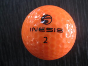 Inesis orange