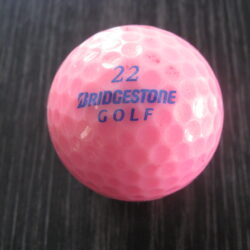 Bridgestone rose