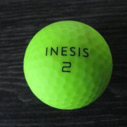 Inesis verte