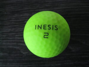 Inesis verte