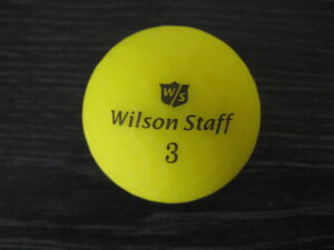 Wilson jaune