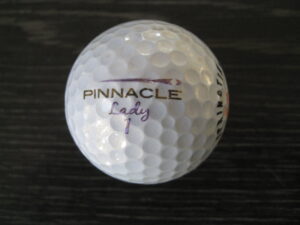 Pinnacle lady couleur