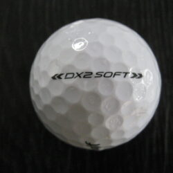 Wilson Dx2
