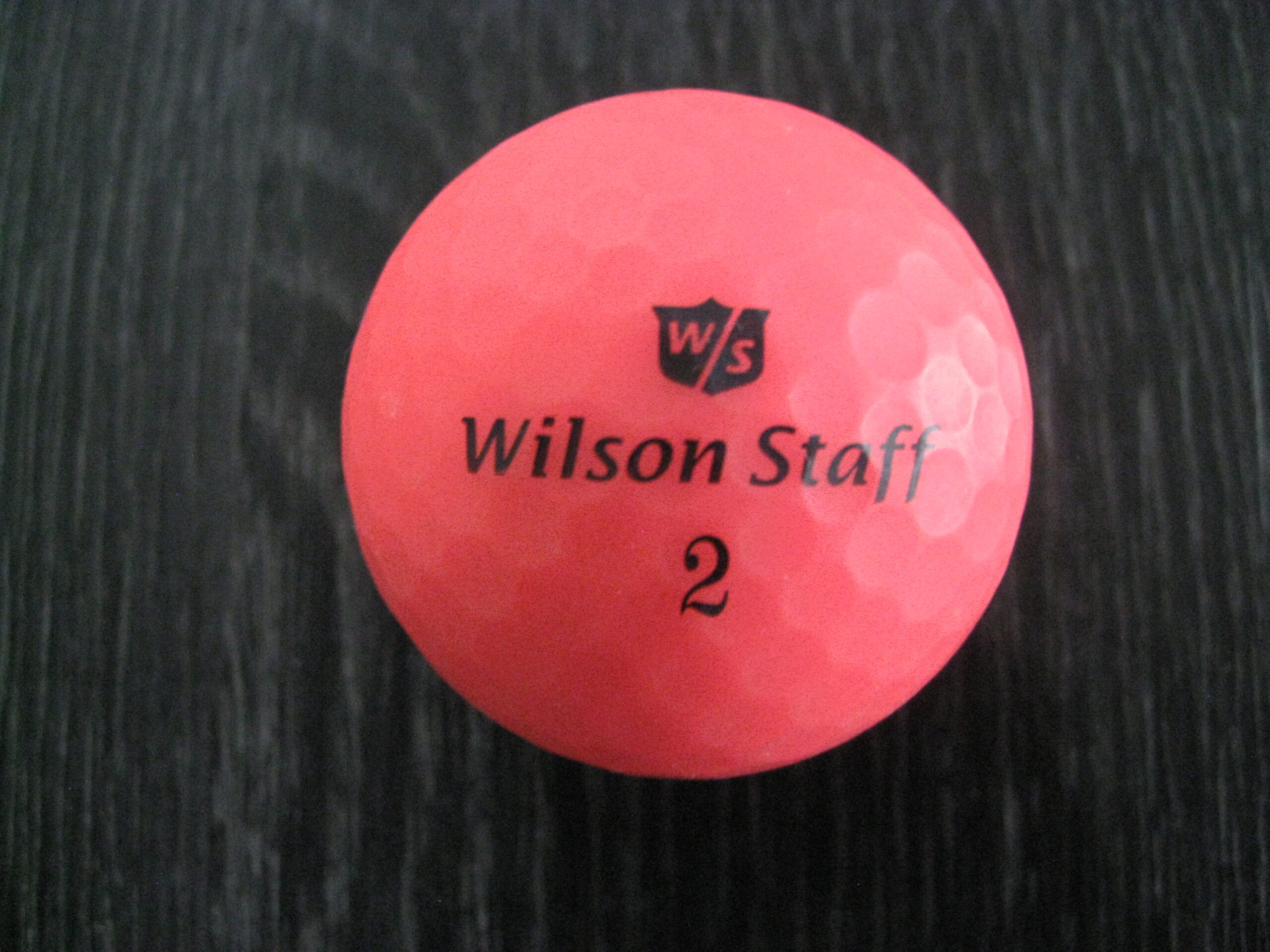 Wilson rose 1 Wilson rose